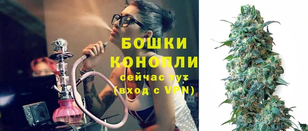молекула духа Осинники
