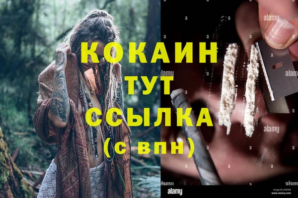 индика Осташков