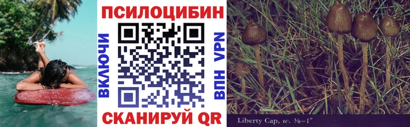 продажа наркотиков  Нурлат  сайты даркнета официальный сайт  Псилоцибиновые грибы GOLDEN TEACHER 
